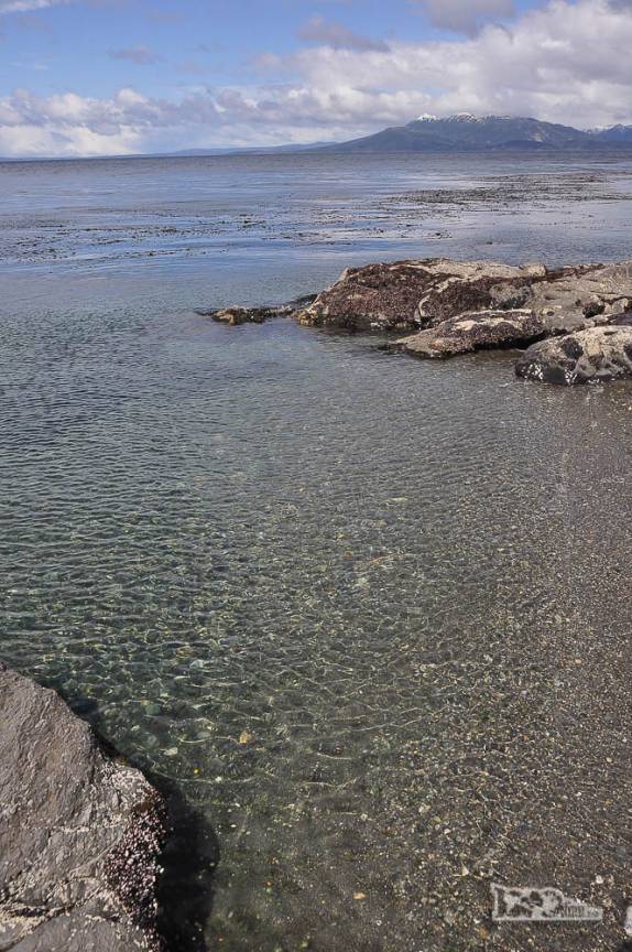 As águas claras e geladas do mar no extremo sul do Chile e da América, região de Punta Arenas